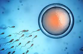 E-santé : la contraception à l&rsquo;heure du digital