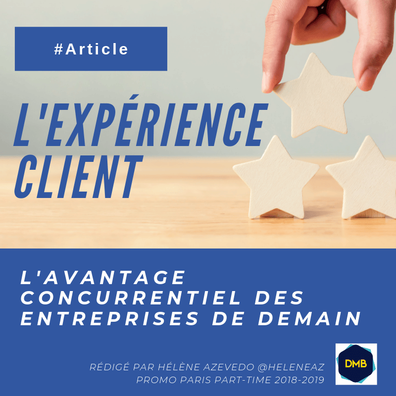 Experience Client Article