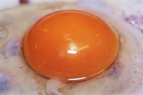 egg