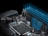 Difference Between Ecc Memory And Non Ecc Memory Memory4less Official