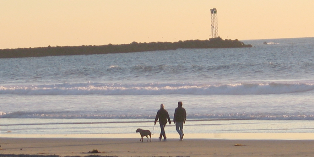 Couple walking dog in mission beach