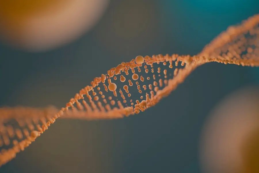 Rekombinant DNA Teknolojisi Nedir?