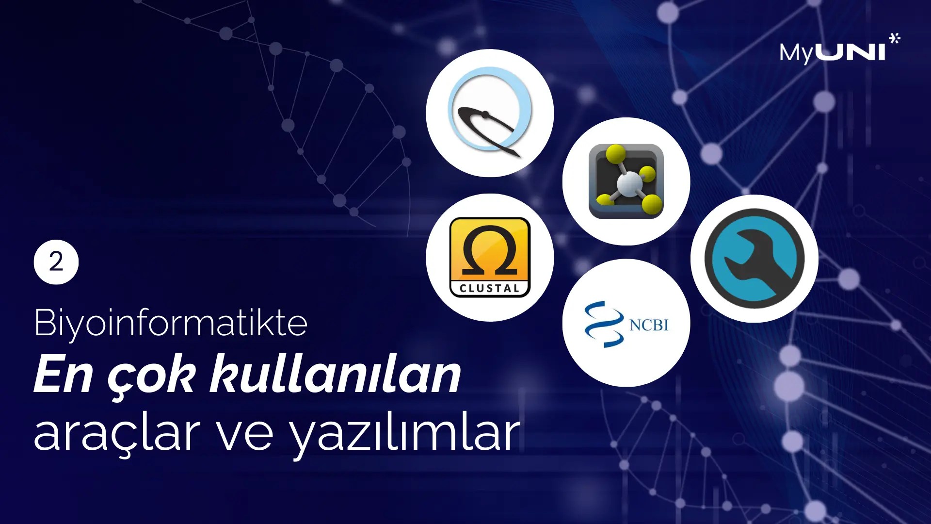 Biyoinformatikte En Çok Kullanılan Araçlar ve Yazılımlar