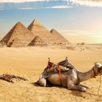 Egypt Tour