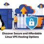 Discover Secure And Affordable Linux VPS Hosting Options - NeuronVM Blog