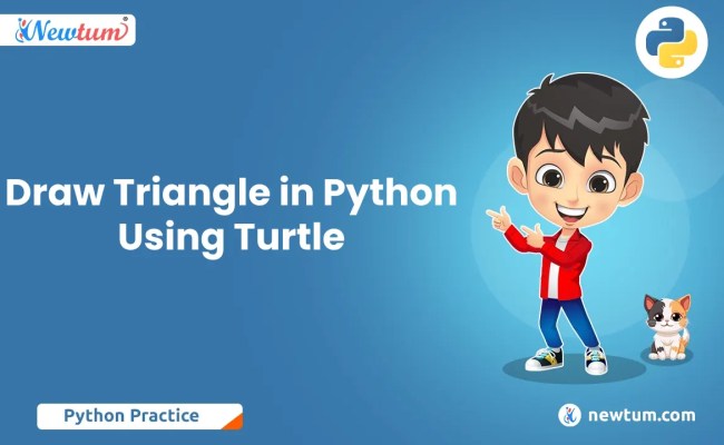 Draw Triangle In Python Using Turtle - Newtum