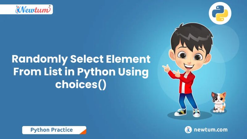 Python Program To Randomly Select An Element From The List Vultr Docs - Premium Ocean Illustration Gallery - Desktop