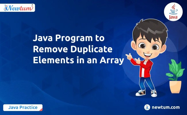 Java Program To Remove Duplicate Elements In An Array - Newtum