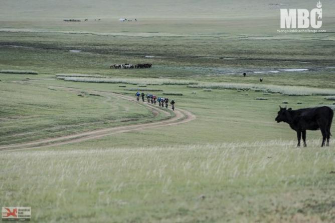 into the wild mongolia bike challenge