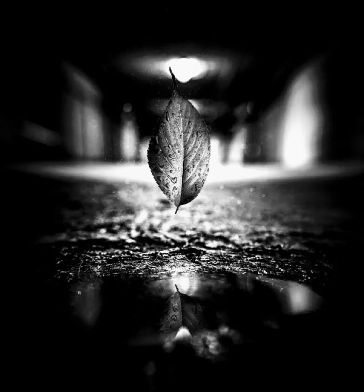 Spoken words ~ Reflection