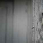 vivienda de alquiler