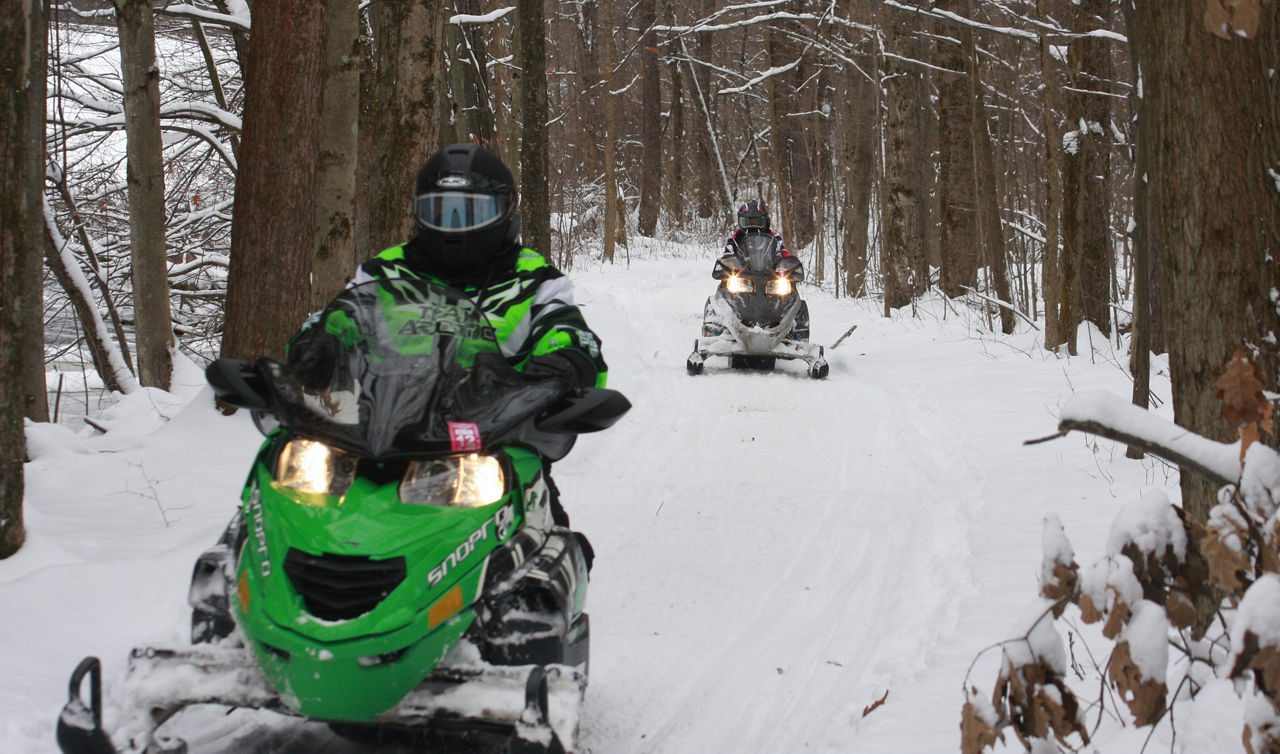 Snowmobiling through the forests, Sweden