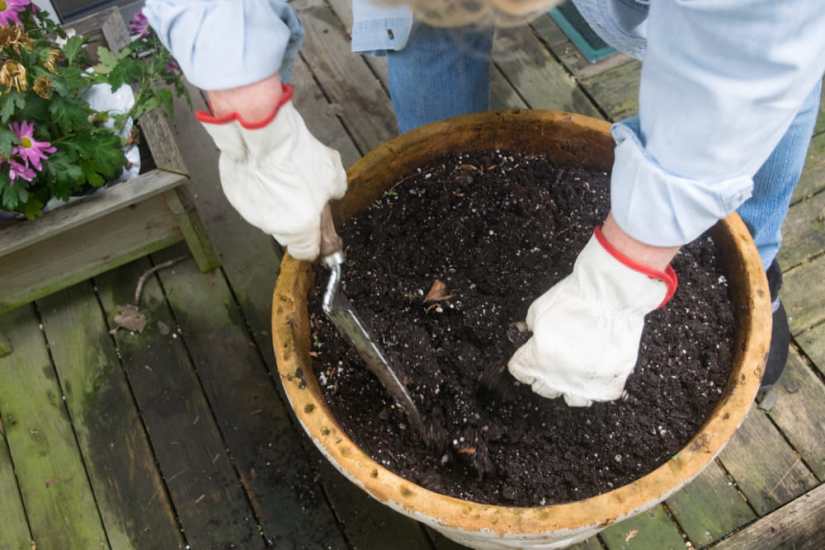 गार्डन की मिट्टी में सुधार कैसे करें - How To Improve Garden Soil Quality In Hindi