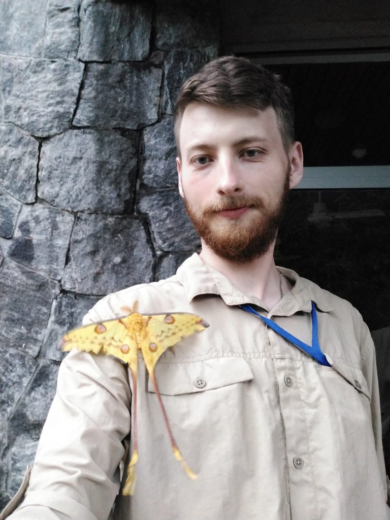 A man in a beige shirt stands near a stone wall, accompanied by a large yellow moth resting on their shoulder.
