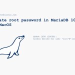 Update root password in MariaDB 10.4 on MacOS Update root password in MariaDB 10.4 on MacOS