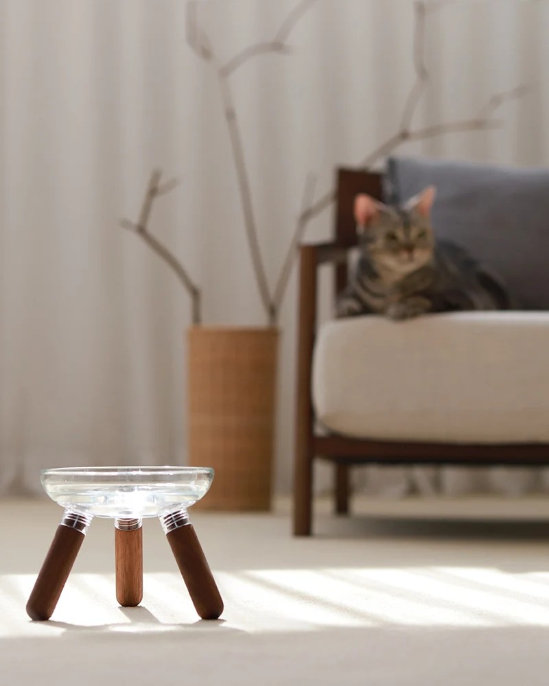 Pets so good Oreo Glass Elevated Pet Table with cat at living room