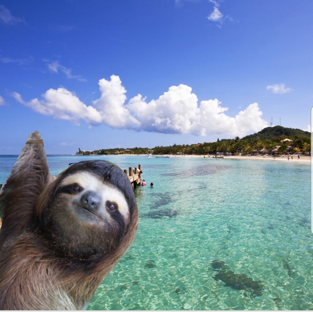 slothbeach