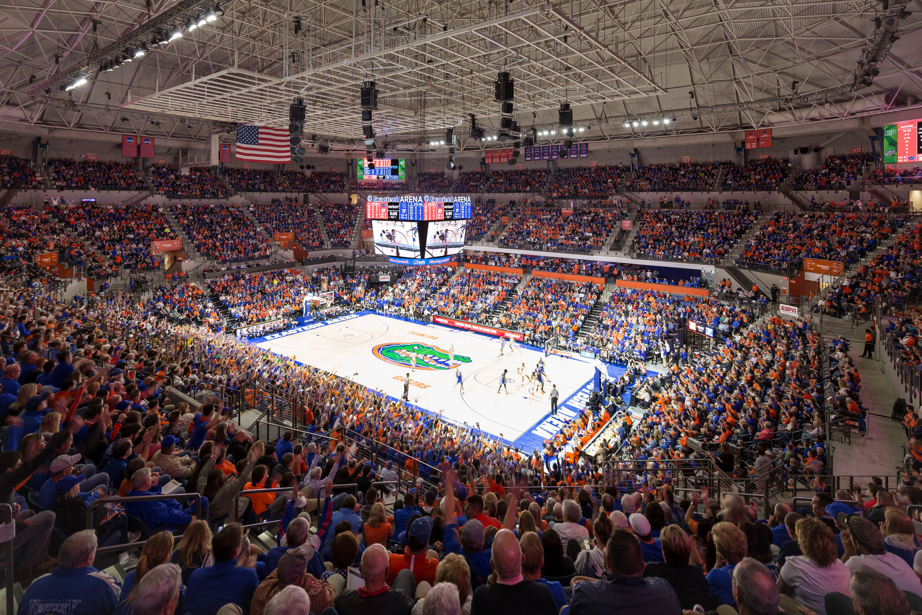 Discover the Home of the Gators: Visit Gainesville & Alachua