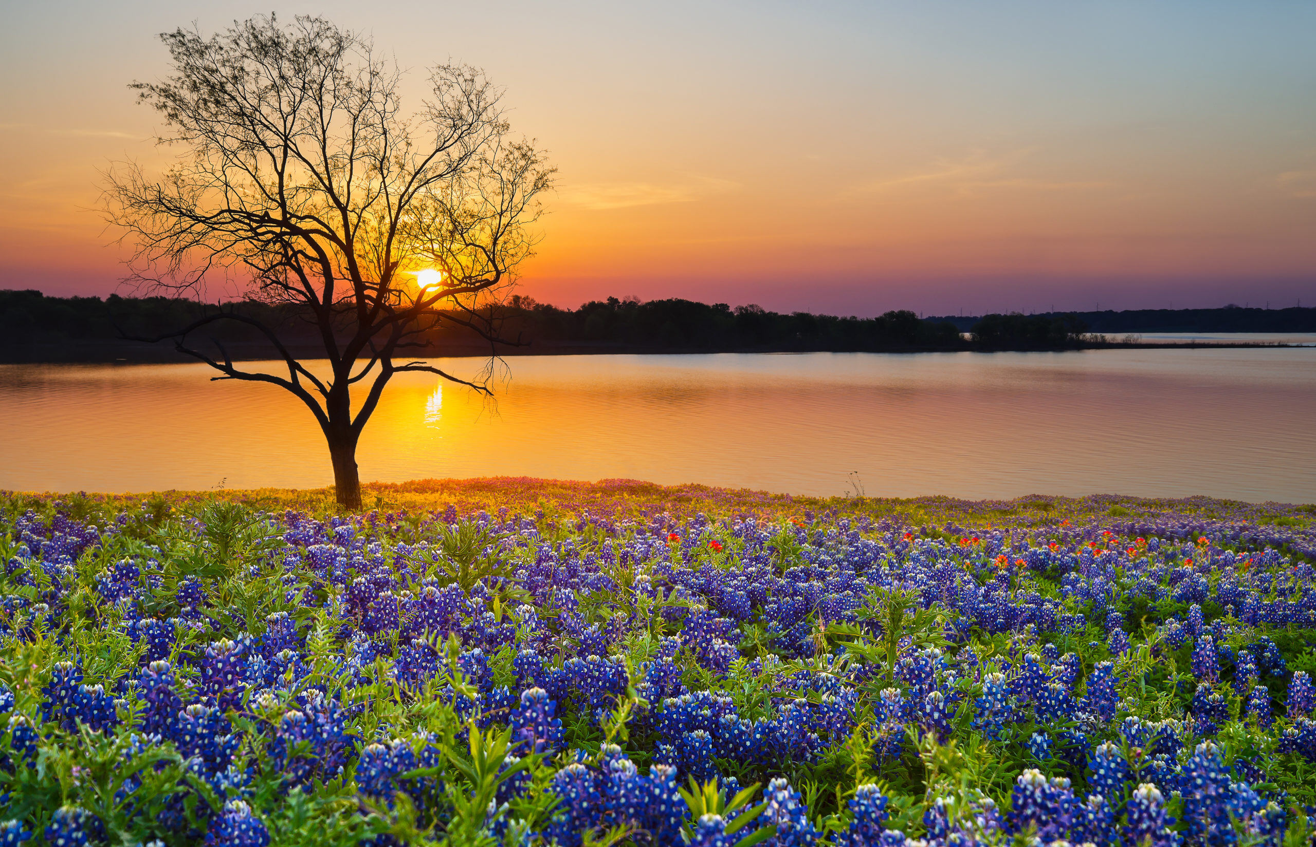 Abundance of outdoor fun to be had during your event in Brownwood