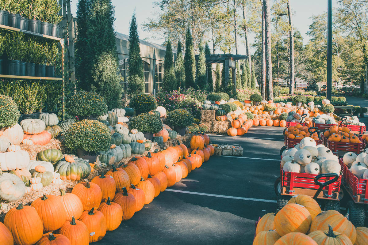 Halloween Happenings in Auburn-Opelika