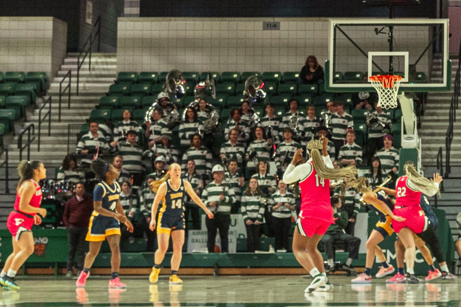 Celebrating Girls and Women in Sports with the Ann Arbor Sports Commission