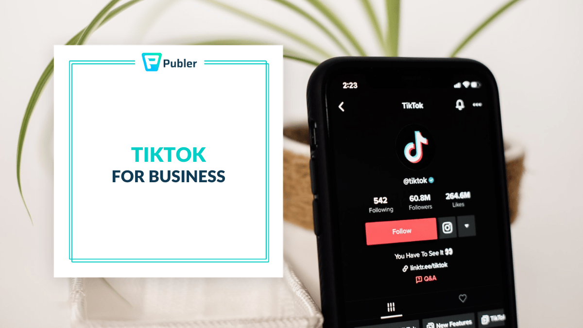 TikTok for business