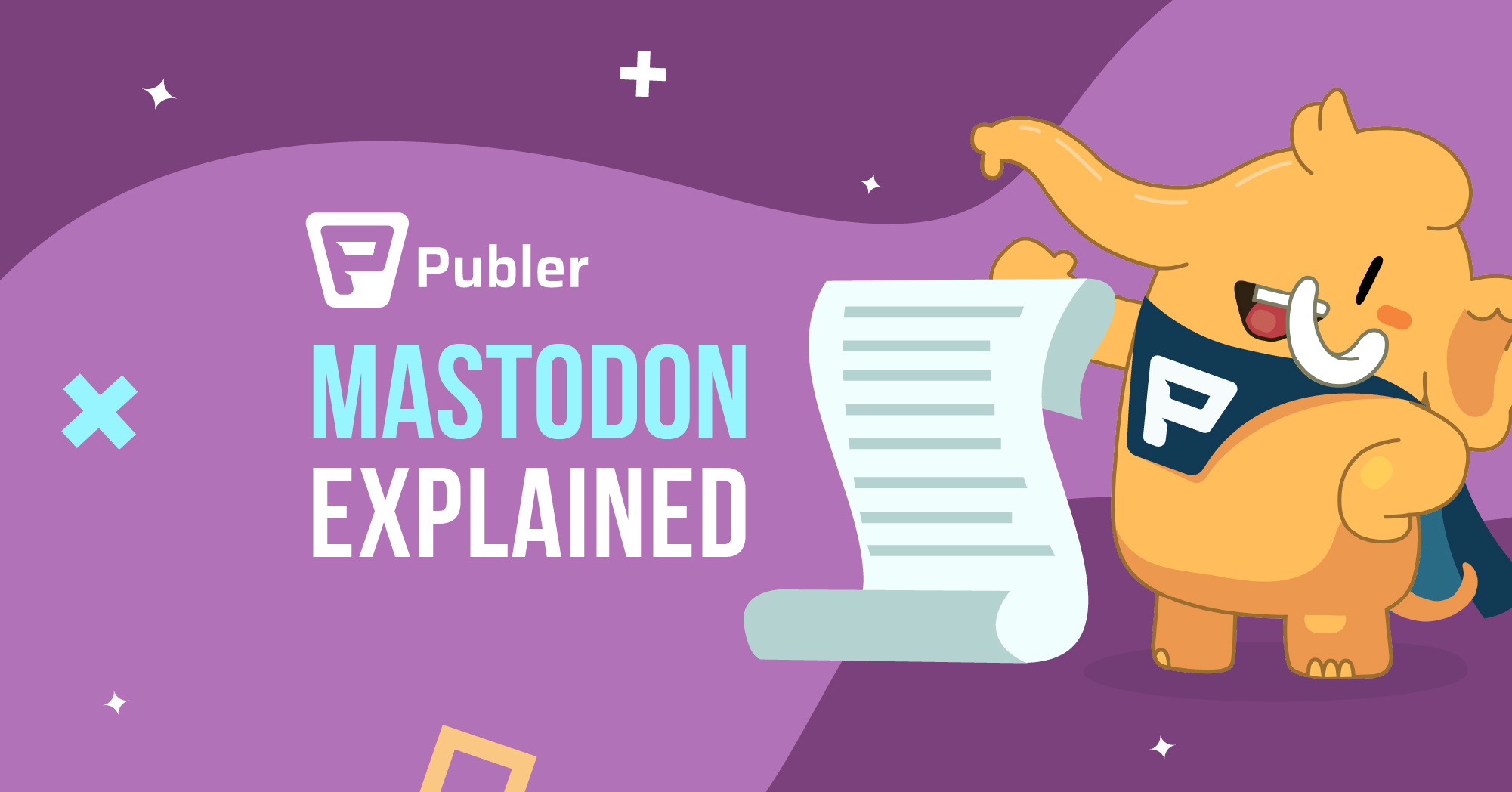 Who Owns Mastodon: Exploring The Social Network