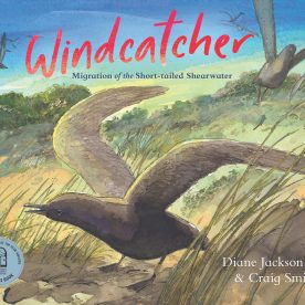 The cover of Windcatcher: Migration of the Short-tailed Shearwater featuring a watercolour illustration of a short-tailed shearwater on a grassy beach