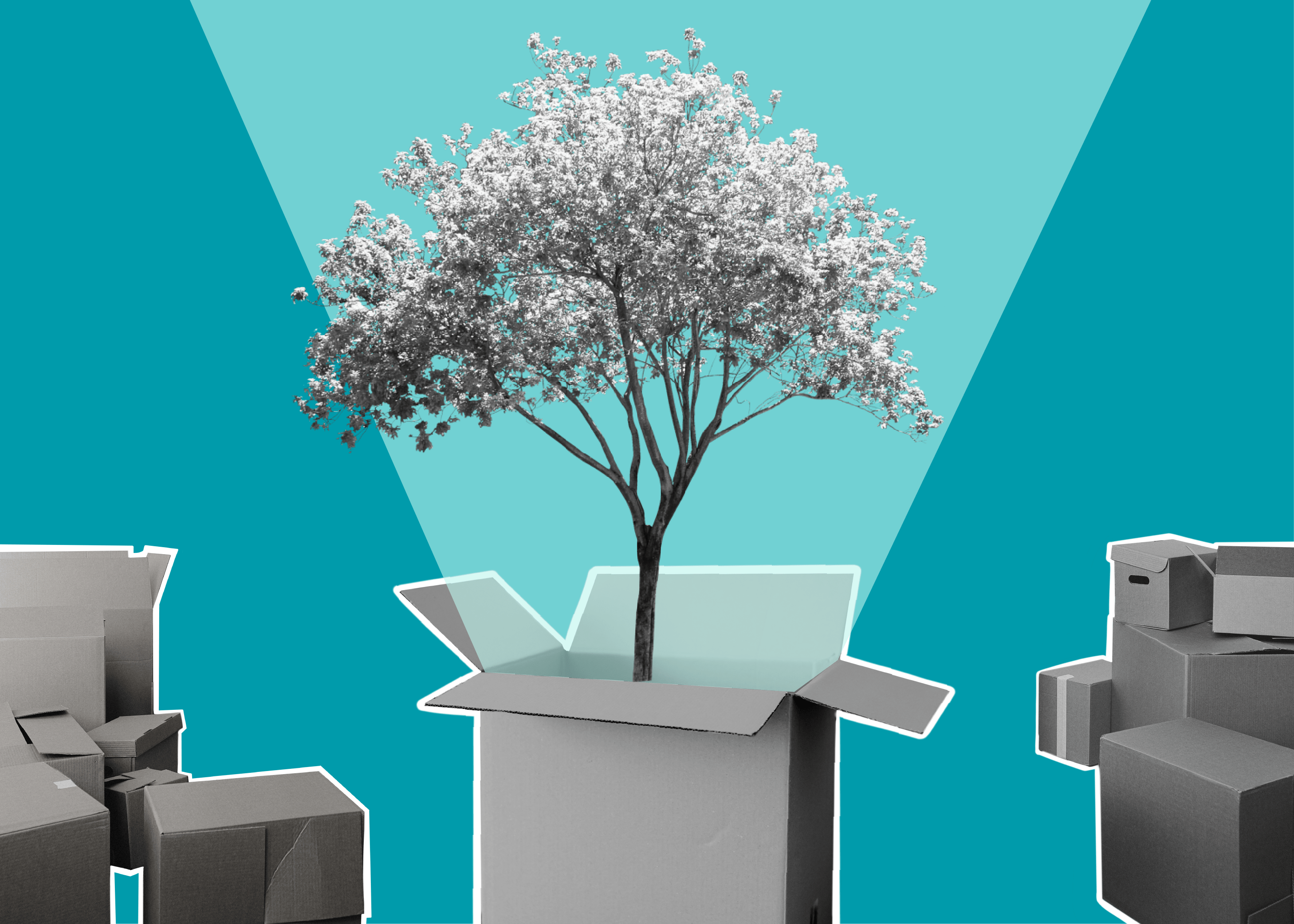 11 Most Innovative Sustainable Packaging Ideas (2022)