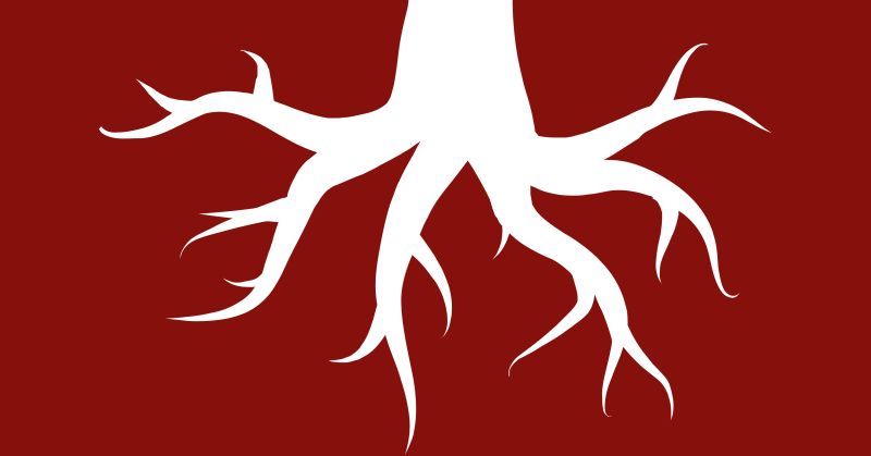 Writing Roots - Download Beautiful Light Art | Retina