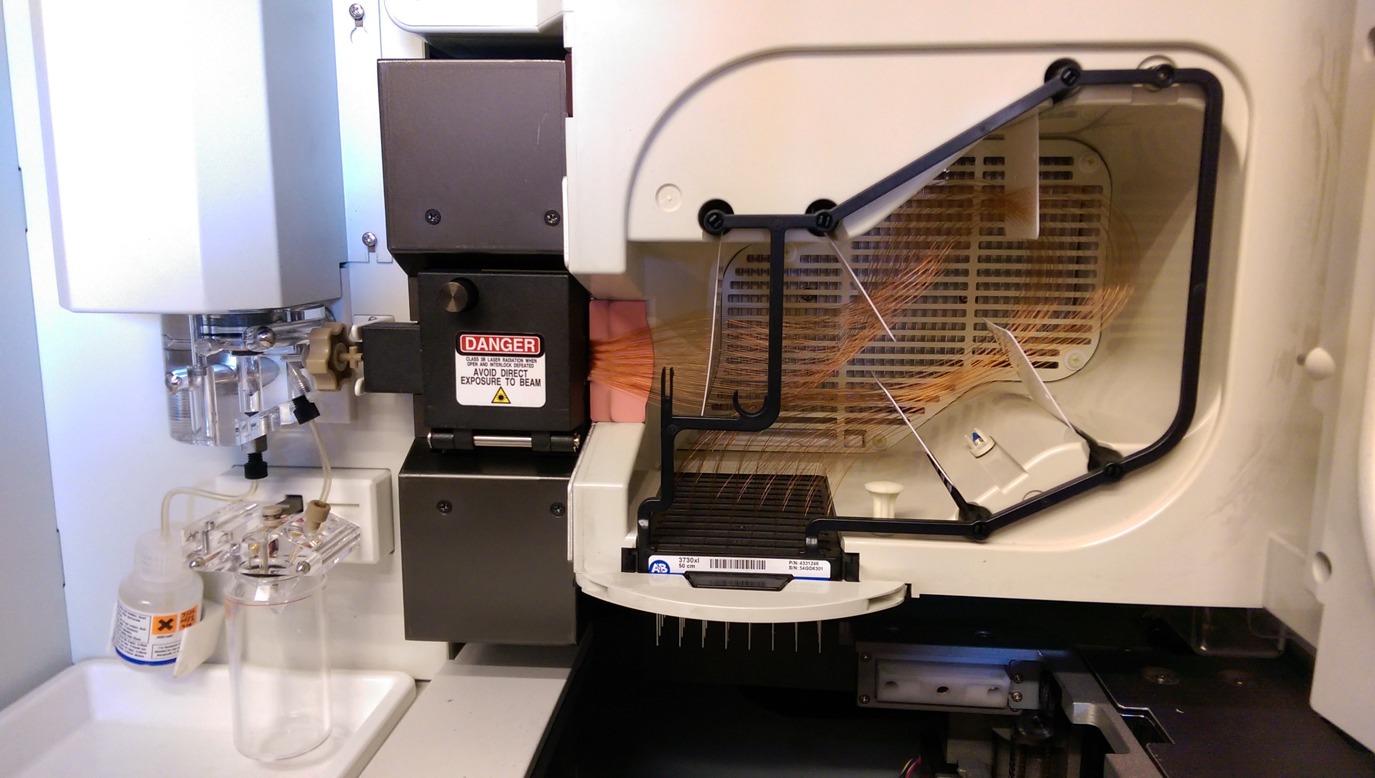 Seqgen Blog Sequencer Cleaning - Sunset Images - Elegant Retina Collection