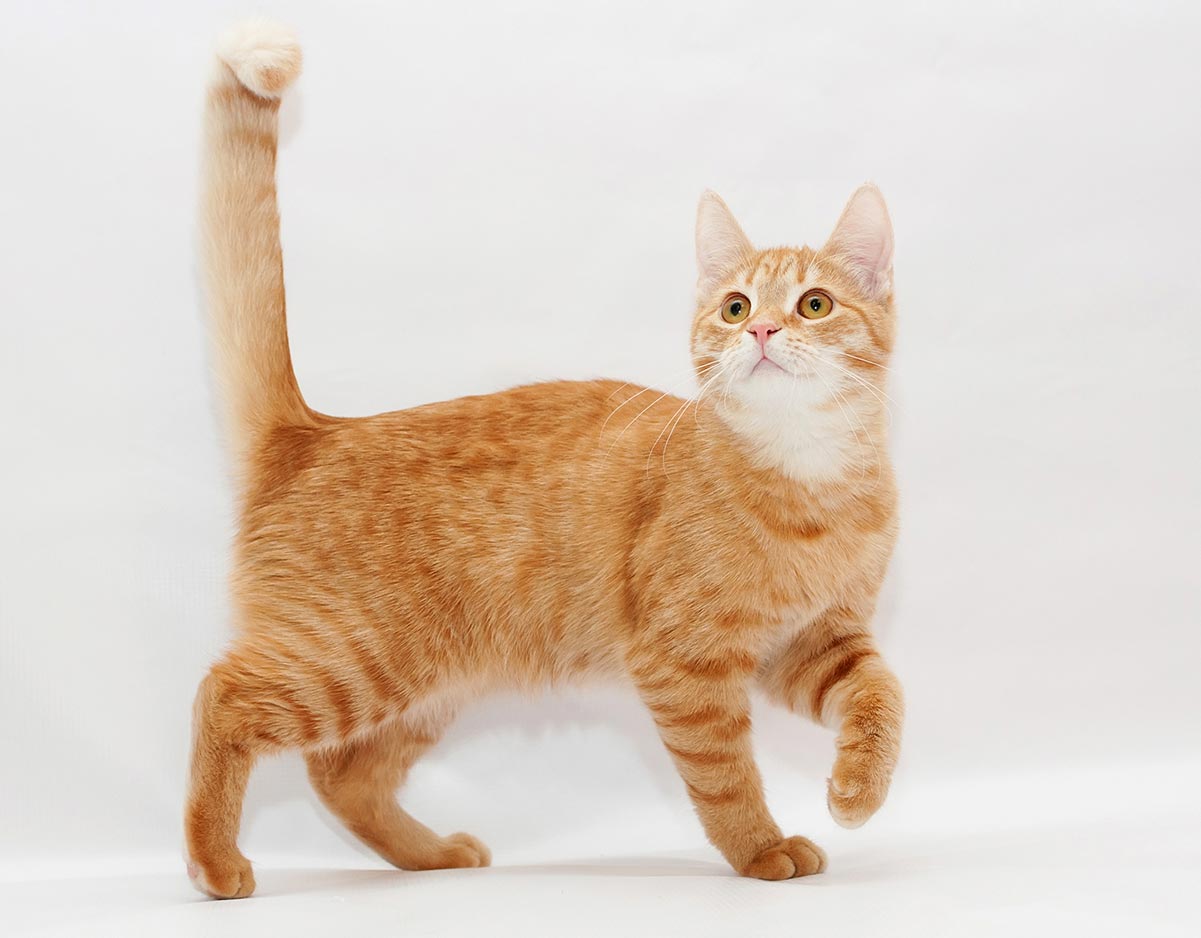 Cover Image of the Post