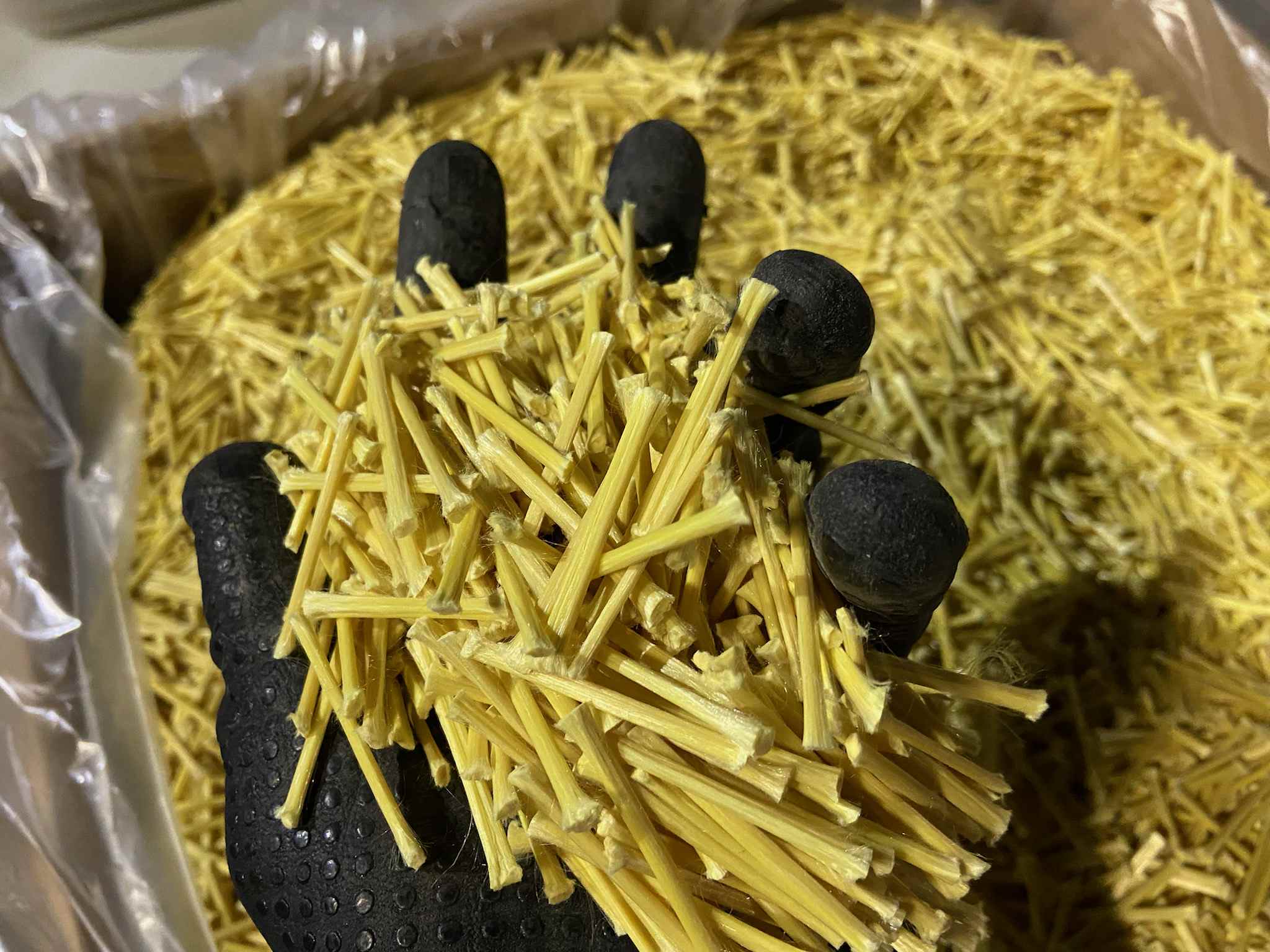 Arca Core Benefit 2 Improved Performance - Gradient Design Collection - 4K Quality