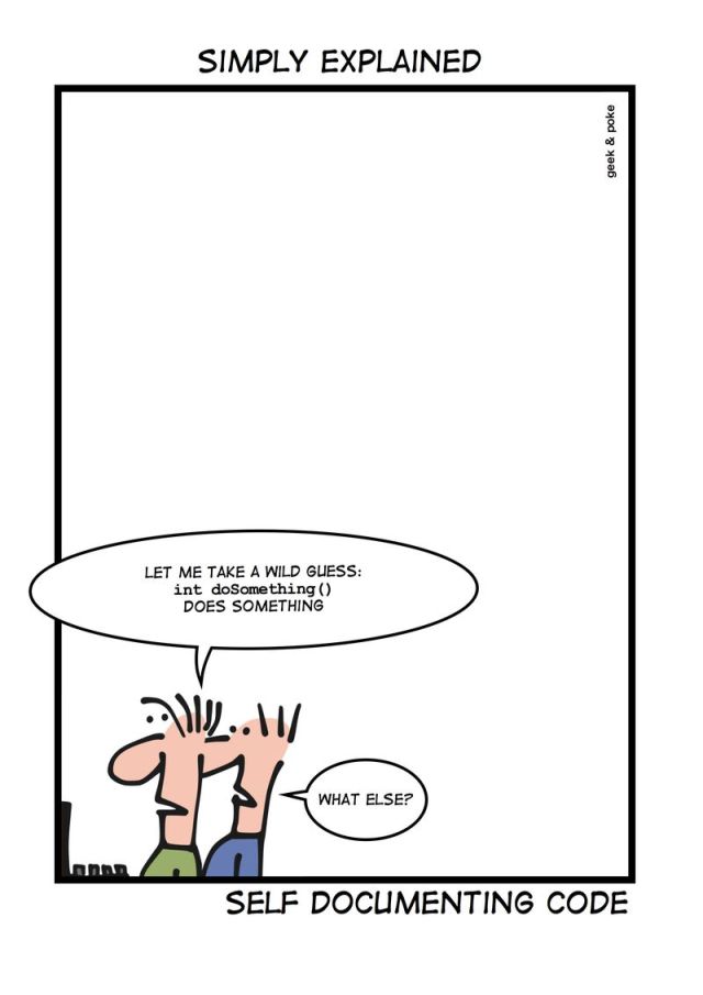 Documentation or Self-Documenting - neither can guarantee full understanding to others.