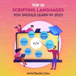 Scripting Languages