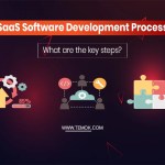 SaaS Software Development