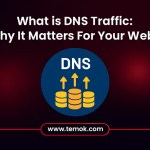 What is DNS Traffic
