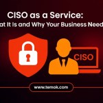 CISO as a Service