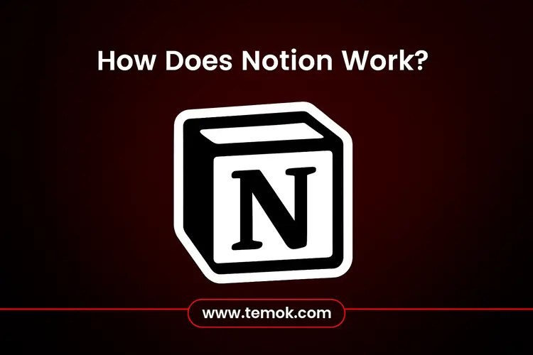 How Does Notion Work