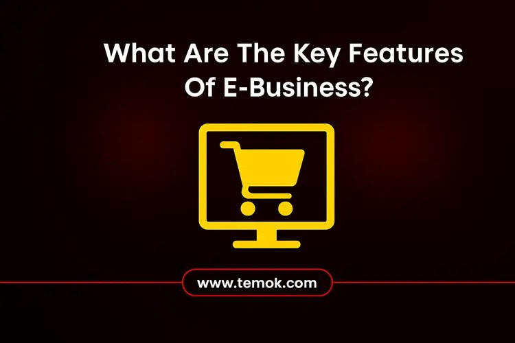 What Are The Key Features