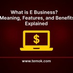 What is E Business
