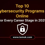 Cybersecurity Programs Online