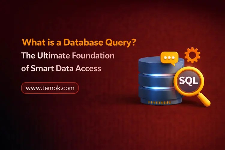 What is a Database Query