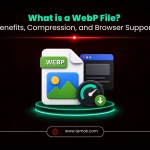 What Is a WebP File