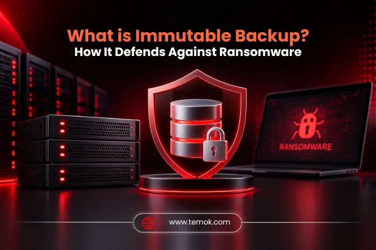 What is Immutable Backup