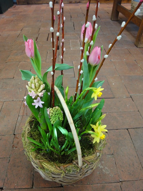 Spring Bulbs from Lake Forest Flowers