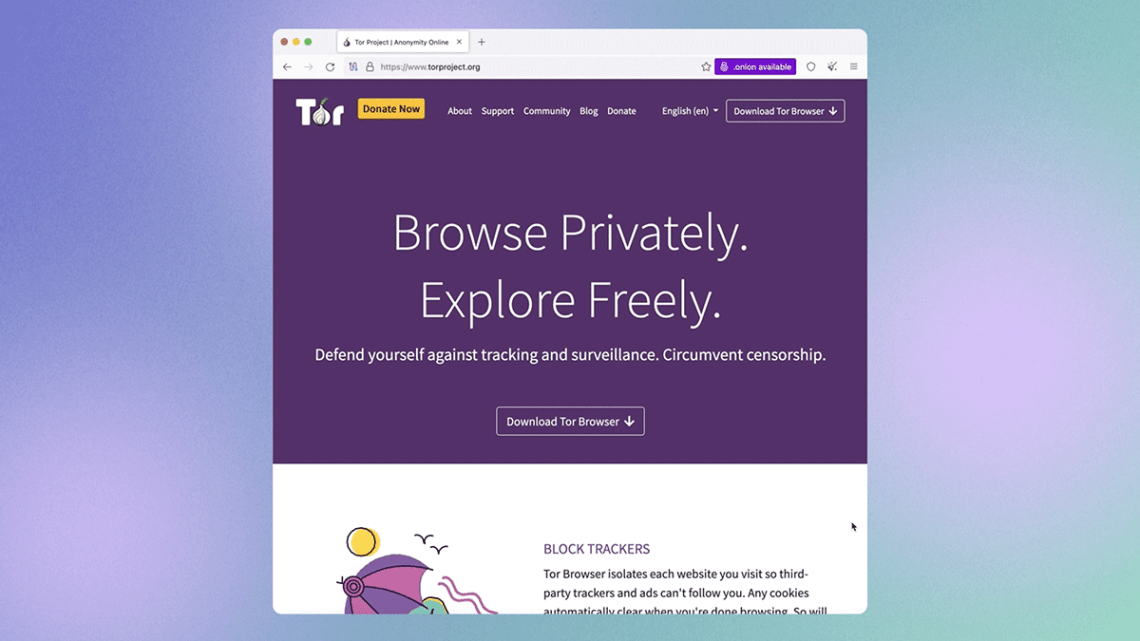 Image Result For Tor Project