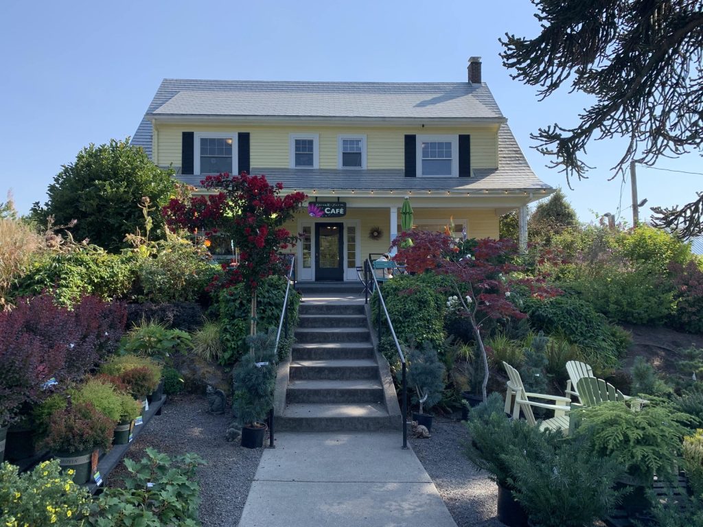 This is a photo of the stairs leading to Cornell Farm Nursery and Cafe's entrance.