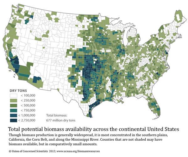 Biomass resources in the united states: more biomass than you can shake a stick at