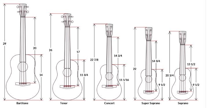 Soprano Vs Concert Ukulele Musicalhow Baritone 19-34 scale length has 19 frets 14th.